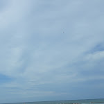 Photo n°4 de l'avis de Giovanna.o fait le 20/07/2021 à 15:19 sur le  Hotel Real Cesenatico à Villamarina