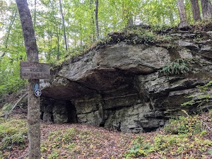 Indian Rock Shelter Trailhead - photo 10