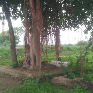 पंचवटी हनुमान जी शिव मंदिर photo