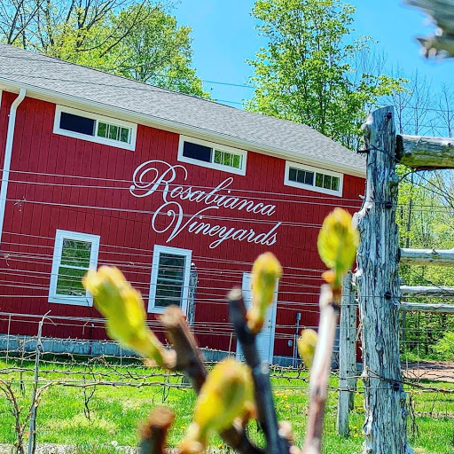 Vineyard «Rosabianca Vineyards», reviews and photos, 1536 Middletown Ave, Northford, CT 06472, USA