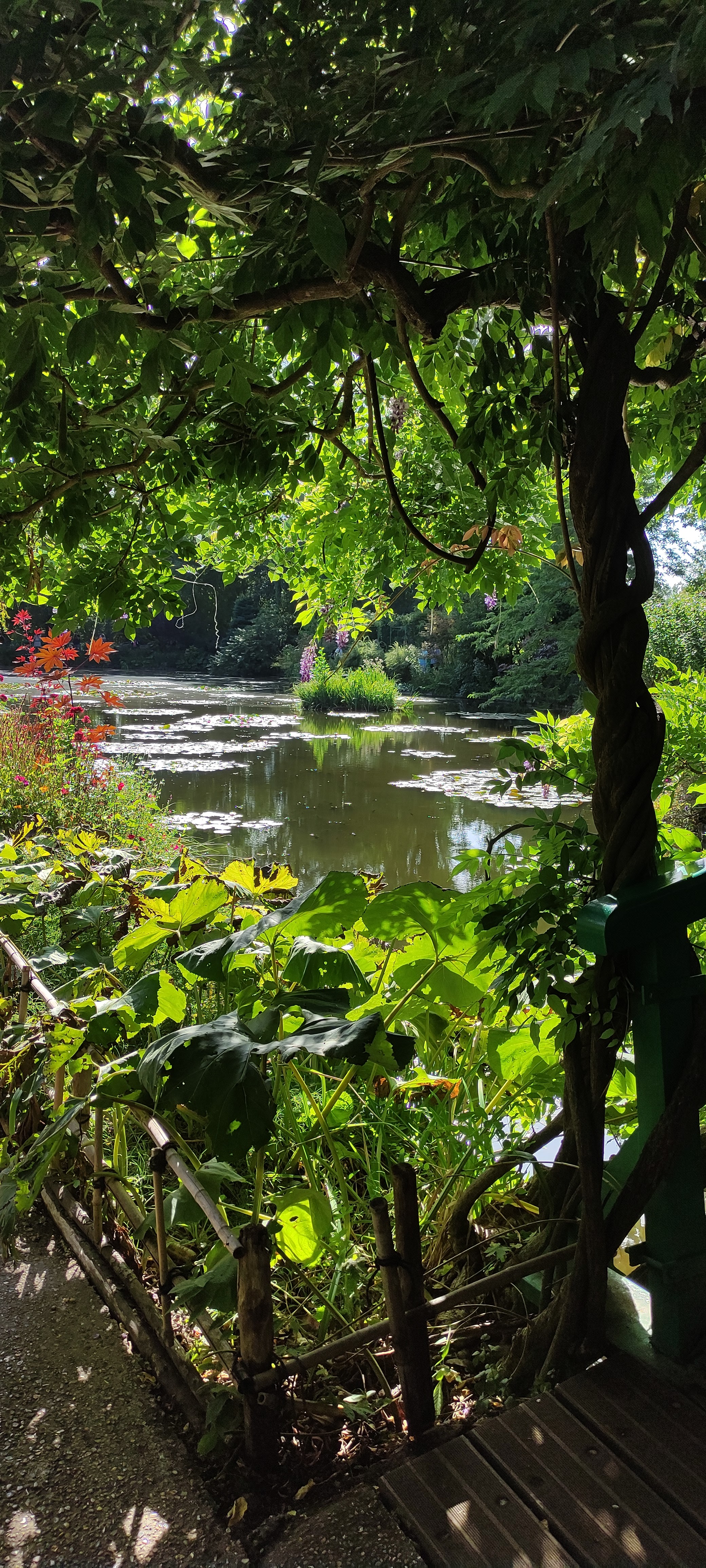 Photo n° 1 de l'avis de Elisa.E fait le 27/08/2022 à 14:33