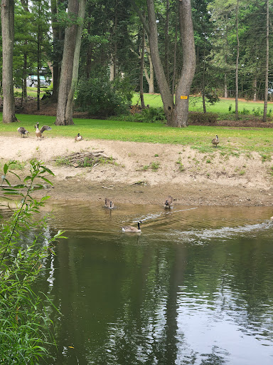 Bird watching area Sterling Heights