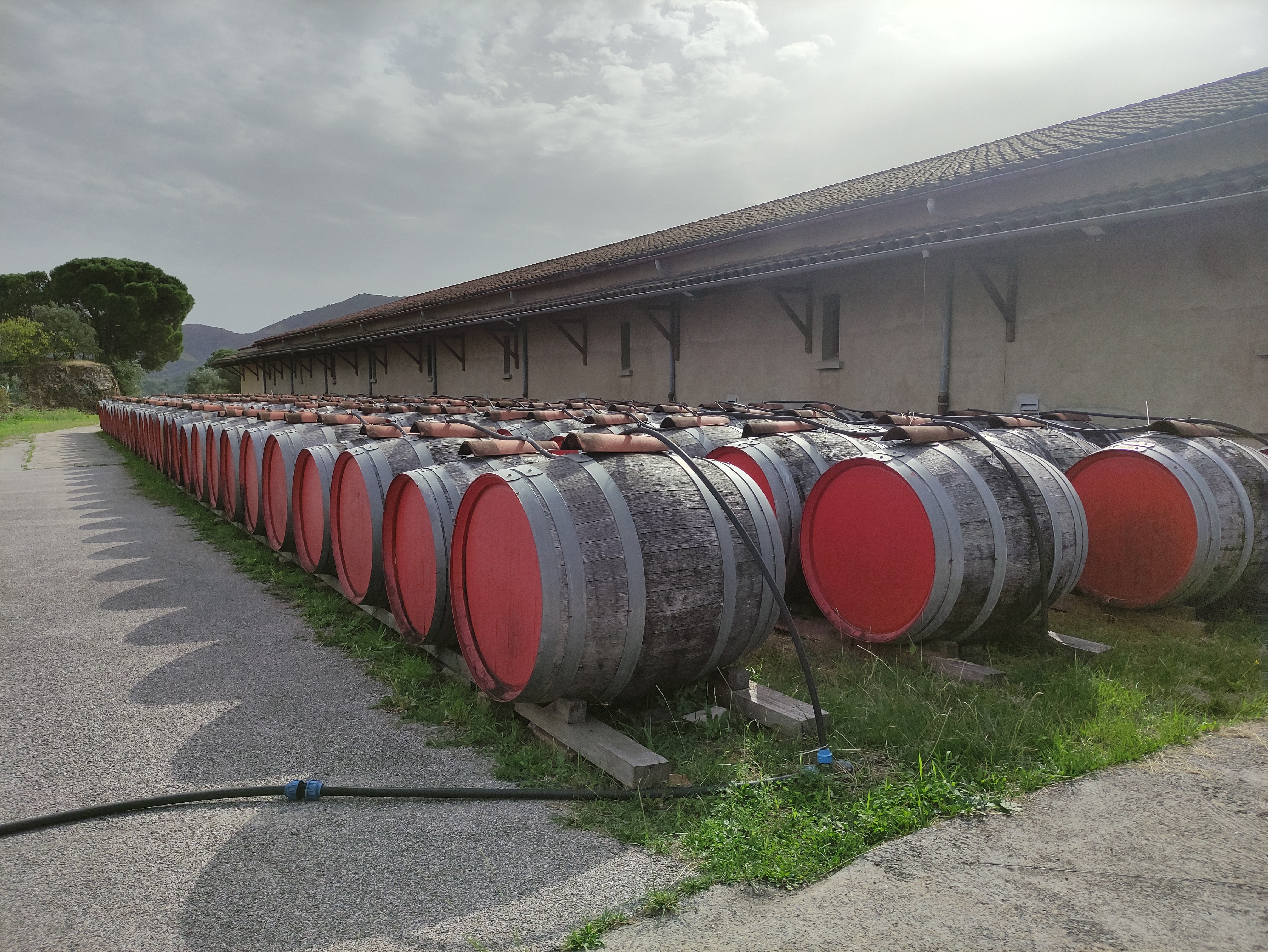 Photo n° 1 de l'avis de laurence.o fait le 23/10/2022 à 12:44