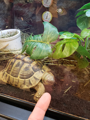 Pet Supply Store «Petco Animal Supplies», reviews and photos, 1704 US Hwy 27 S, Sebring, FL 33870, USA