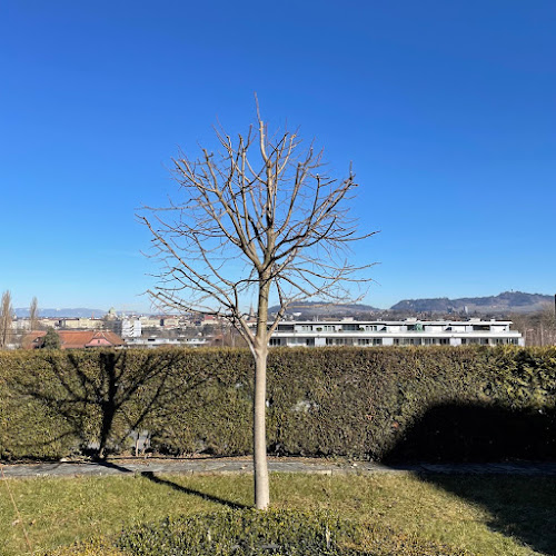 Neubrückstrasse 49, 3012 Bern, Schweiz