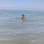 Photo n°2 de l'avis de Marco.r fait le 25/06/2020 à 11:39 sur le  Spiaggia Libera Castel Porziano - Cancello 2 à Rome