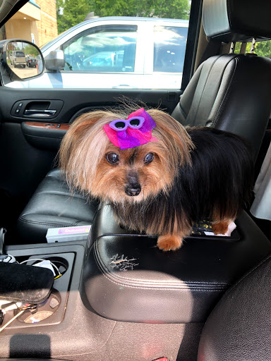 Pet Supply Store «Petco Animal Supplies», reviews and photos, 403 N 8th St, West Dundee, IL 60118, USA