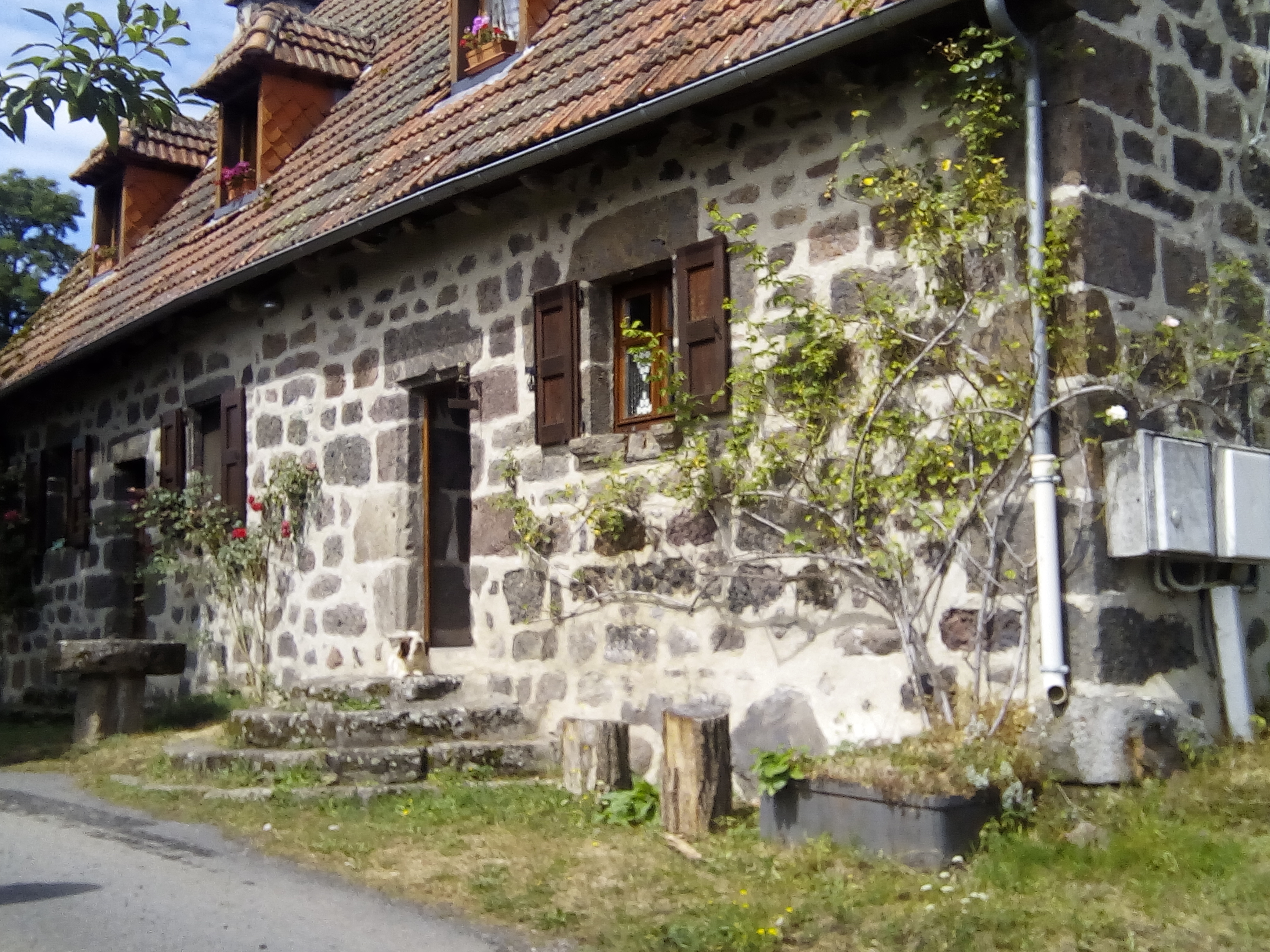 Photo n° 9 de l'avis de Aurore.e fait le 21/08/2016 à 00:30