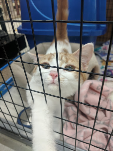 Pet Supply Store «Pet Supplies Plus», reviews and photos, 1240 Seminole Trail, Charlottesville, VA 22901, USA