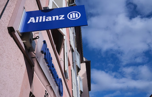 Allianz Assurance ENSISHEIM - Florent & Pauline PERARD à Ensisheim