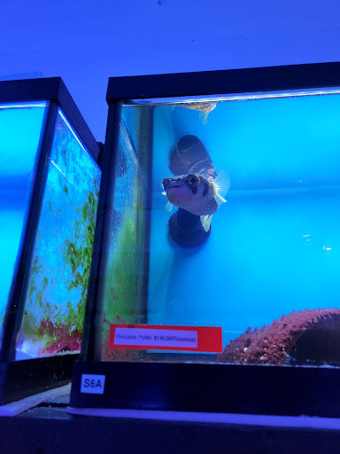 Pet Store «Forest Lake Pets», reviews and photos, 120 Lake St N, Forest Lake, MN 55025, USA