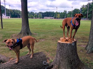 John Bishop Park - photo 37