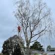 Leaves And Tree Service, Arborists/Tree work and Stump removal, Wellington