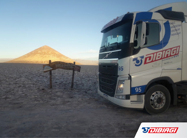 Comentarios y opiniones de Dibiagi Transporte Internacional S.A. Sucursal Los Andes - Chile