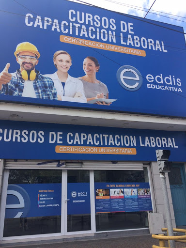 EDDIS EDUCATIVA MERLO