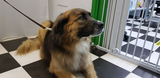 Comercial Veterinaria Ceres en Unquera