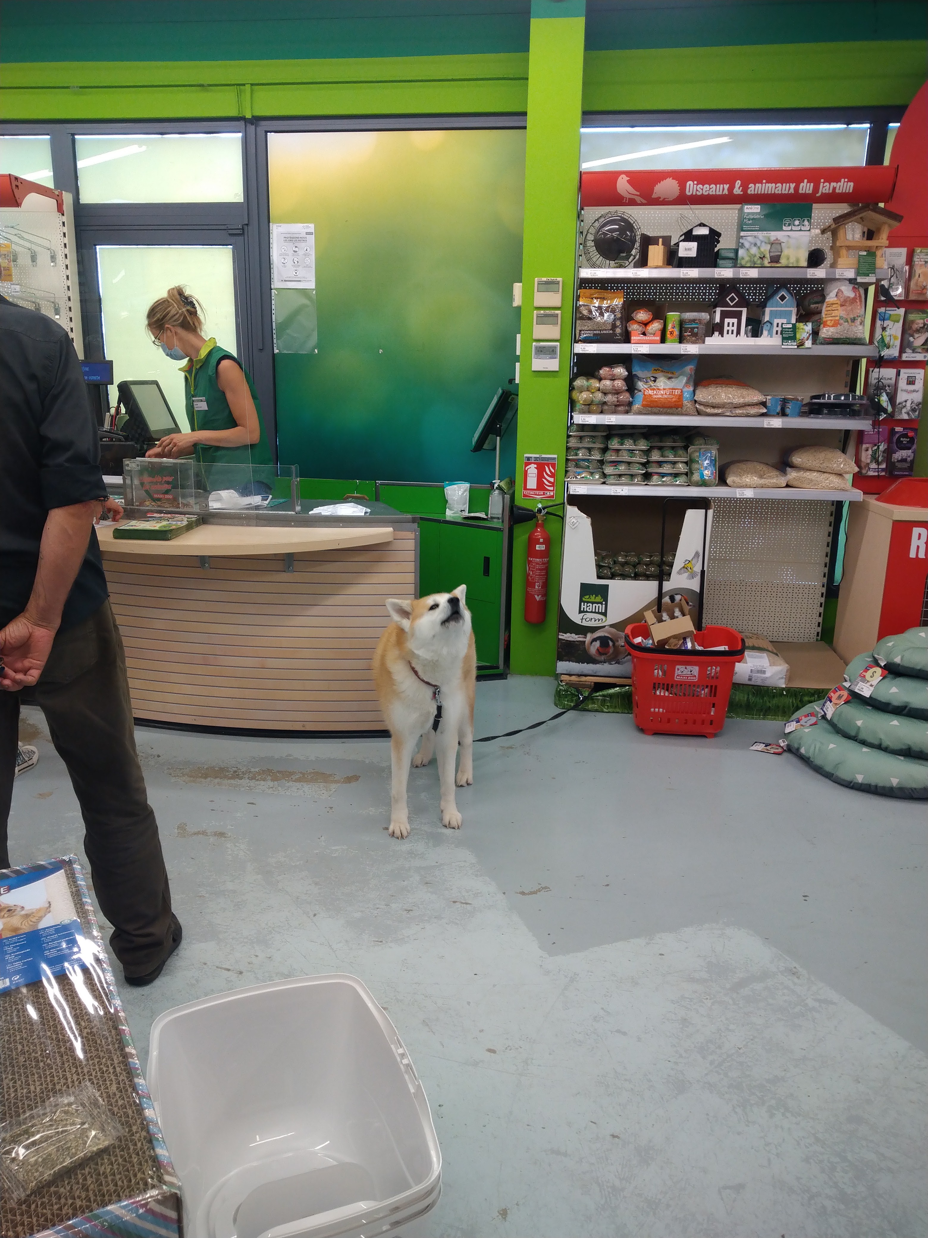 Photo n° 1 de l'avis de Anta.i fait le 27/06/2020 à 12:45