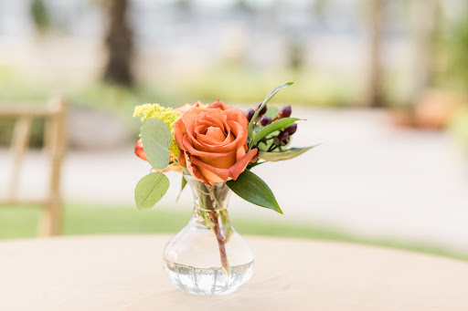 Florist «Tiger Lily», reviews and photos, 1619 Desoto Rd, Sarasota, FL 34234, USA