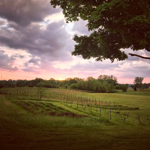 Winery «Cherry Creek Winery», reviews and photos, 11500 Silver Lake Hwy, Brooklyn, MI 49230, USA
