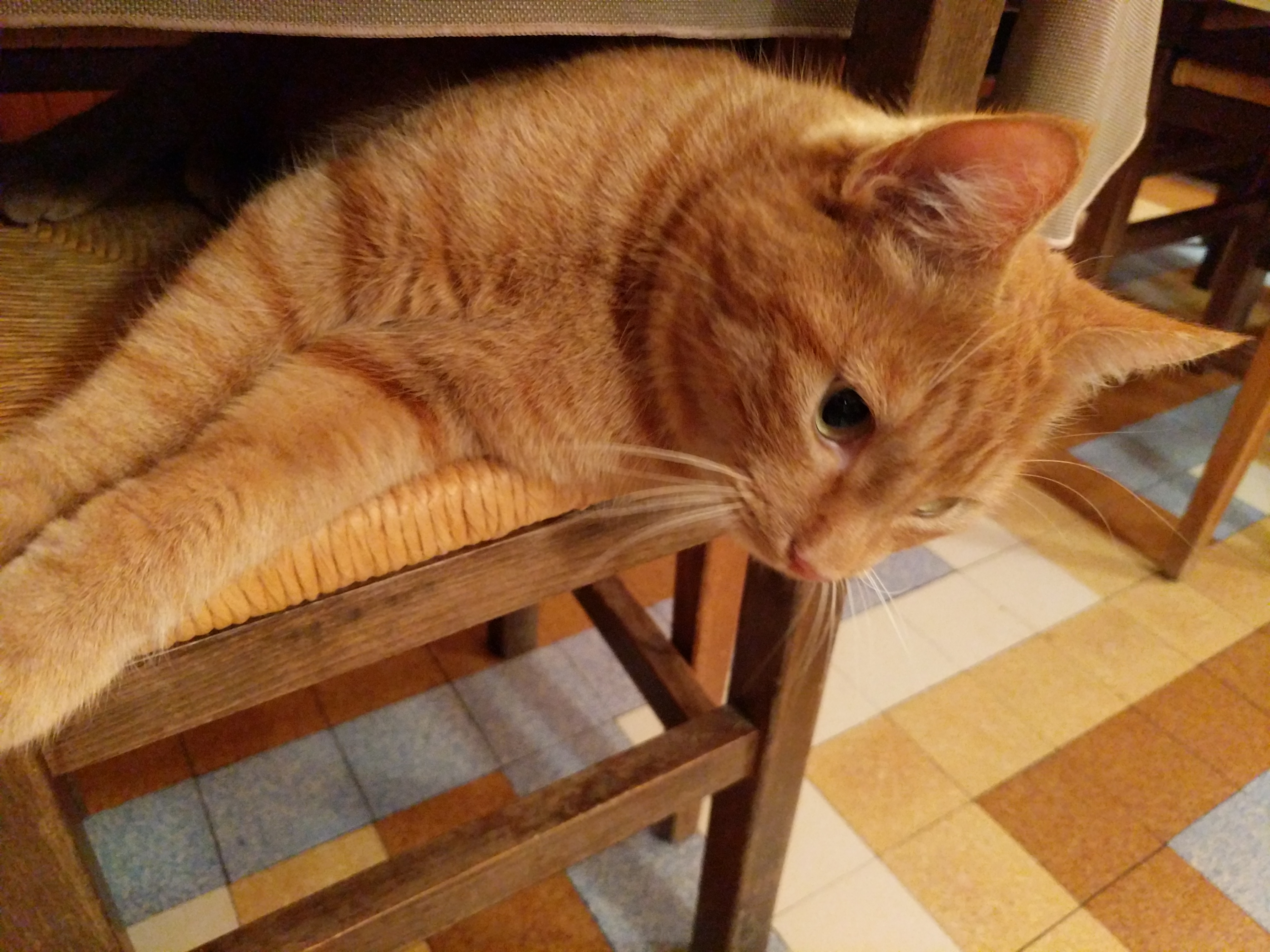 Photo n° 1 de l'avis de Jurek.o fait le 15/01/2018 à 08:04