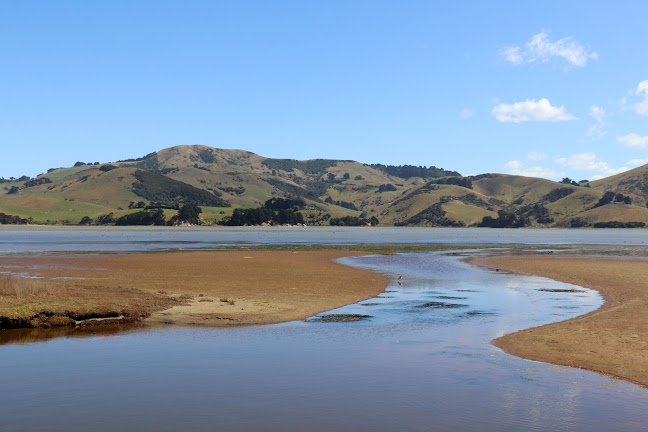 https://www.dunedintours.co.nz/