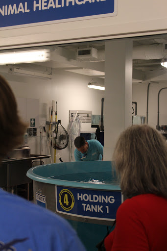 Aquarium «SEA LIFE Charlotte-Concord Aquarium», reviews and photos, 8111 Concord Mills Boulevard, Concord, NC 28027, USA