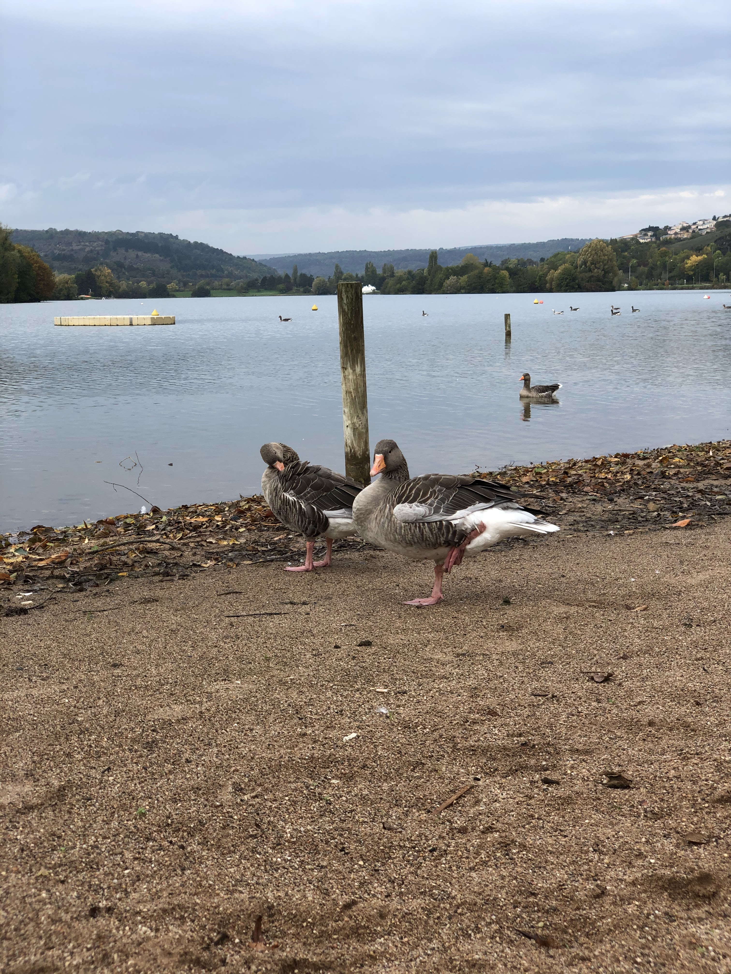 Photo n° 7 de l'avis de mickaël.a fait le 20/10/2019 à 11:43