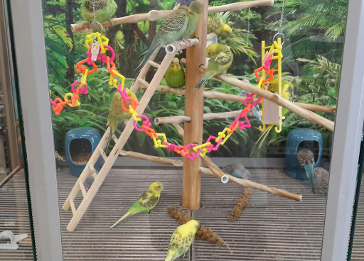 Pet Supply Store «Petco Animal Supplies», reviews and photos, 5925 US-6, Portage, IN 46368, USA