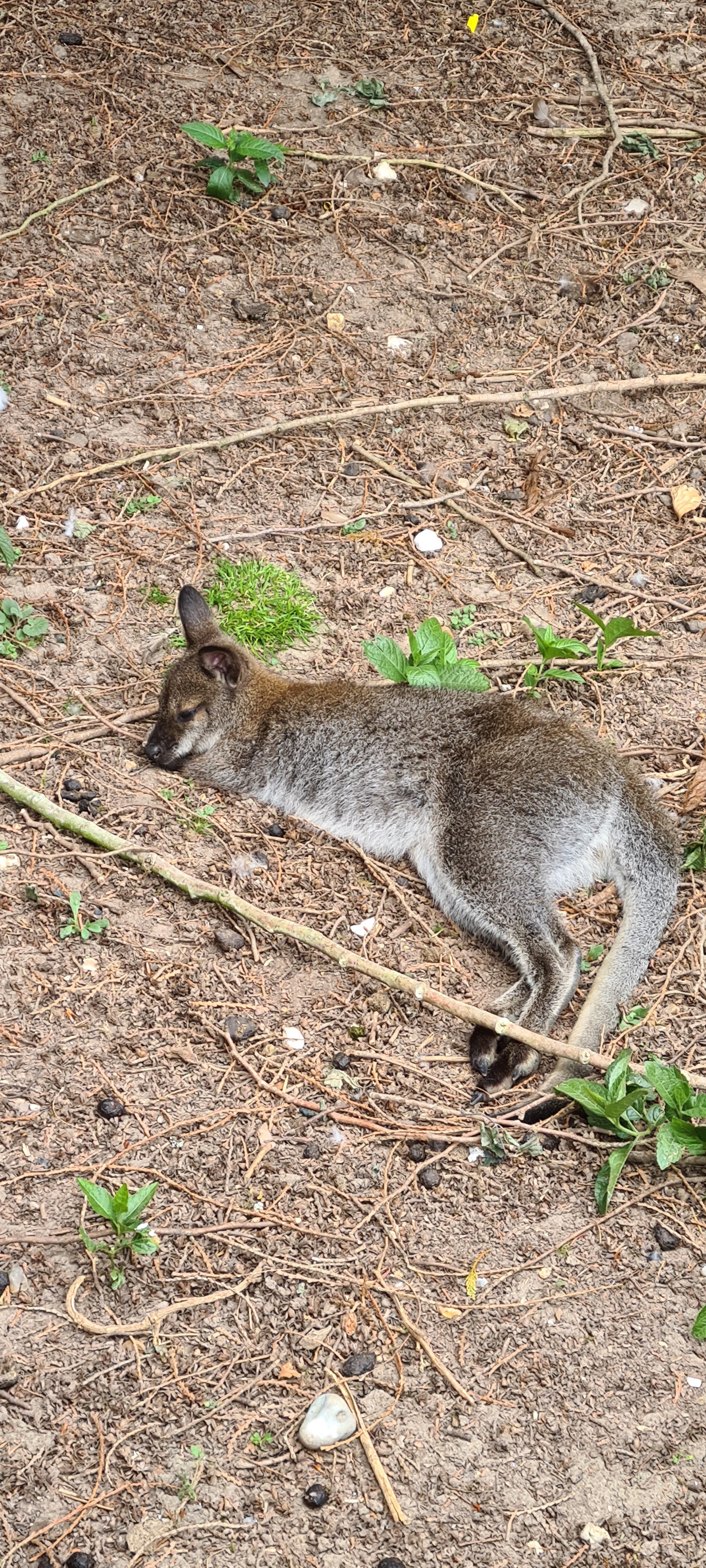 Photo n° 7 de l'avis de Raynald. fait le 15/05/2022 à 18:40