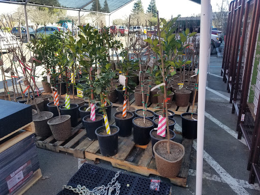 Home Improvement Store «Tractor Supply Co.», reviews and photos, 2000 Lakeville Hwy a, Petaluma, CA 94954, USA