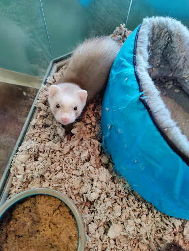 Pet Supply Store «Choice Pet - Danbury», reviews and photos, 67 Newtown Rd, Danbury, CT 06810, USA