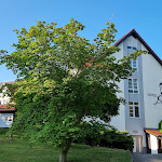 Photo n°2 de l'avis de J... fait le 25/06/2023 à 06:08 sur le  Hotel Marschall DuRoc à Markersdorf