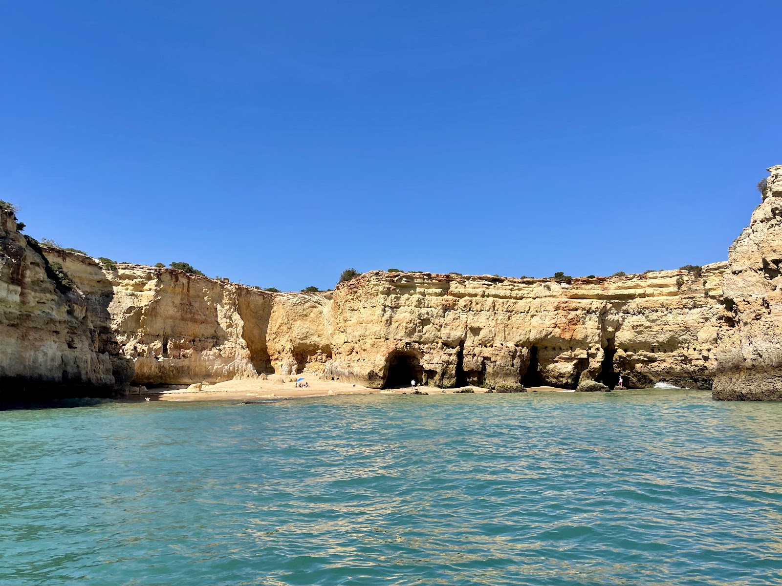 Praia da Estaquinha'in fotoğrafı vahşi alan