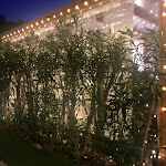 Photo n°7 de l'avis de Kim-May.l fait le 16/09/2019 à 20:07 sur le  Pedri Garden Restaurant à Porto Cervo