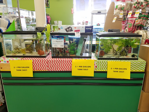 Pet Supply Store «Pet Supplies Plus», reviews and photos, 1170 Northern Blvd, Manhasset, NY 11030, USA