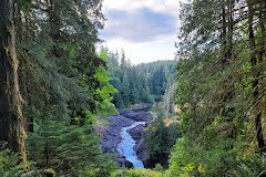 Elk Falls Suspension Bridge