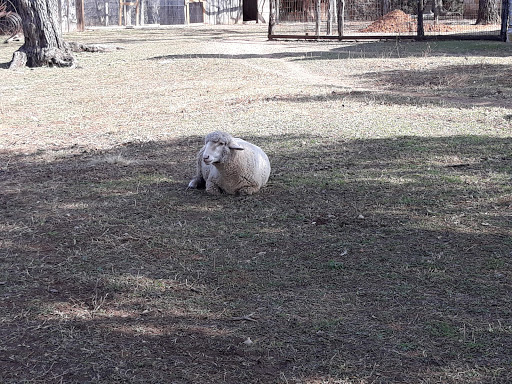 State Park «Lyndon B. Johnson State Park & Historic Site», reviews and photos, 199 Park Road 52, Stonewall, TX 78671, USA