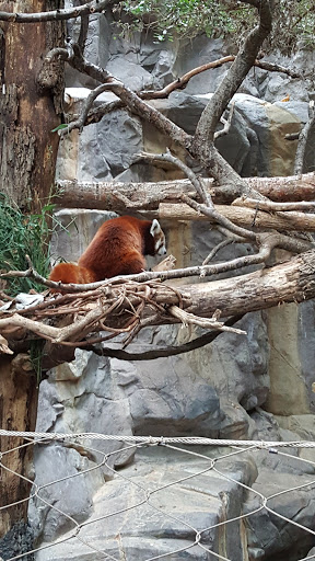 Gift Shop «Minnesota Zoo Gift Shop», reviews and photos, 13000 Zoo Blvd, Apple Valley, MN 55124, USA