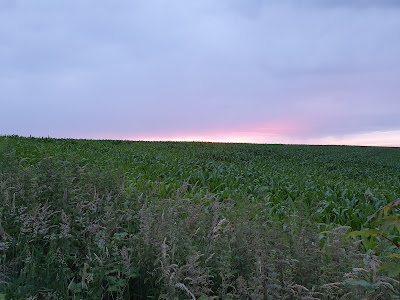 La Cavée Verte à Ault