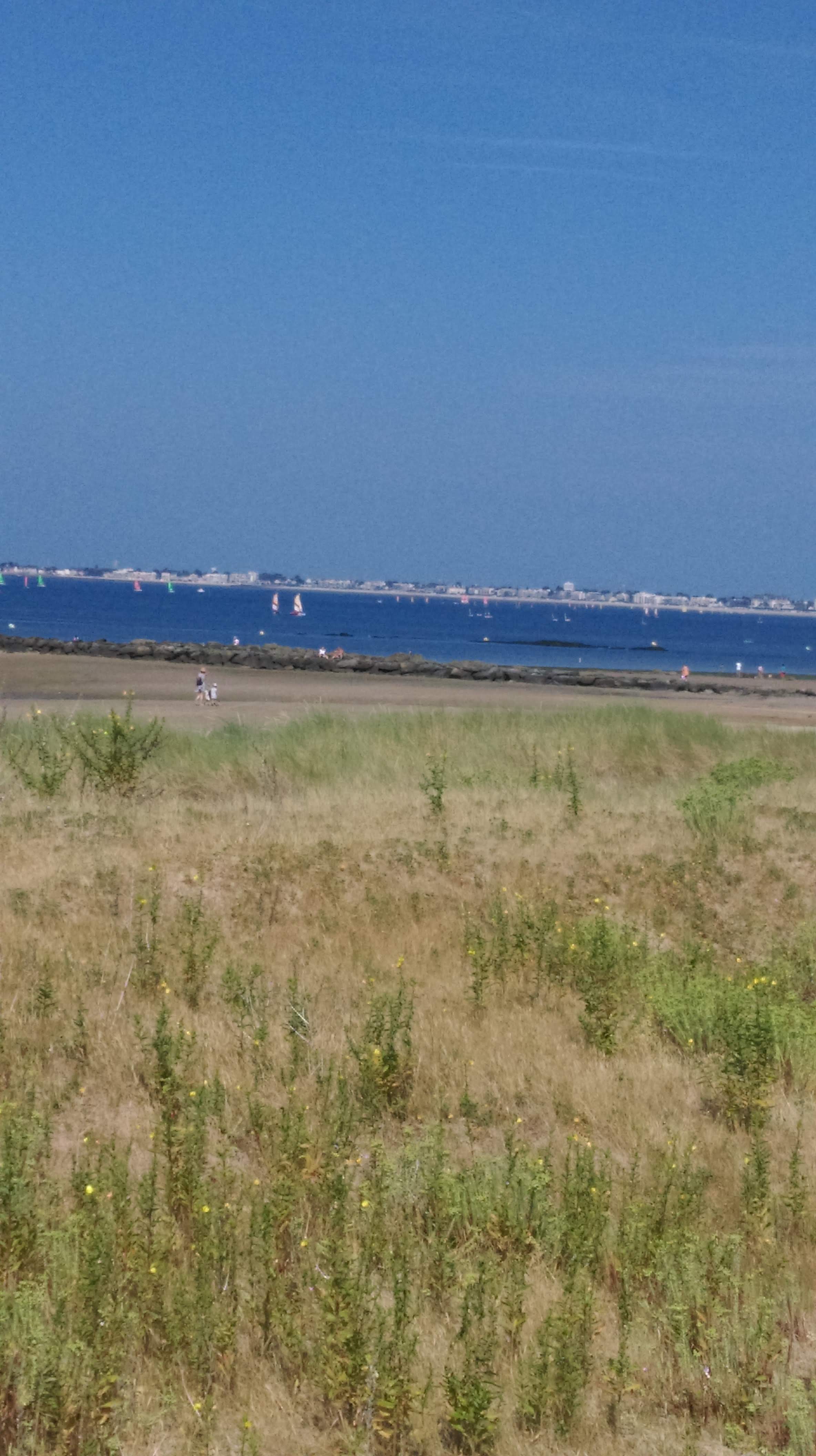 Photo n° 6 de l'avis de LEA.A fait le 14/07/2018 à 16:36
