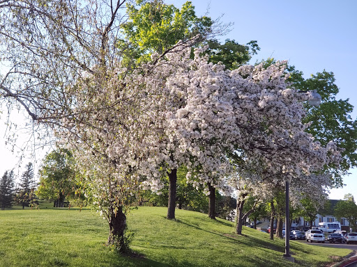 Golf Club «Columbia Golf Club», reviews and photos, 3300 Central Ave NE, Minneapolis, MN 55418, USA