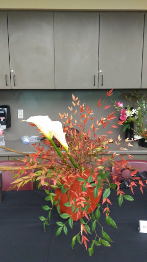 Recreation Center «Tom Muehlenbeck Center», reviews and photos, 5801 W Parker Rd, Plano, TX 75093, USA