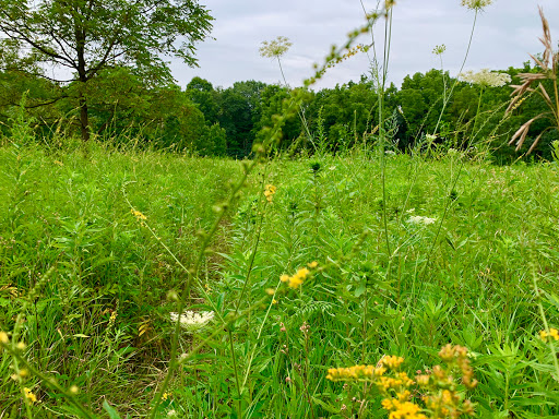Park «Hickory Creek Preserve - LaPorte Road Access», reviews and photos, 10537 W La Porte Rd, Mokena, IL 60448, USA