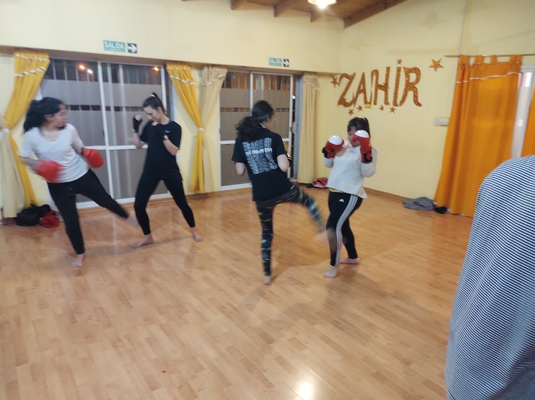 academia de danzas y gym Zahir