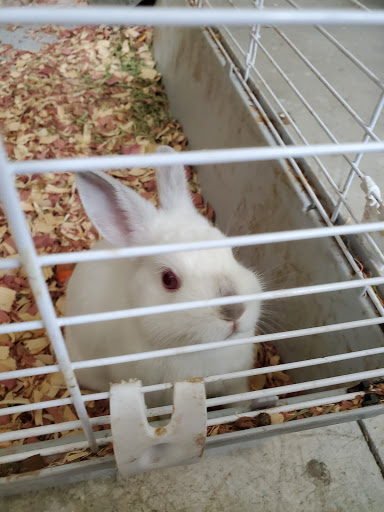 Department Store «Rural King», reviews and photos, 23625 US-23, Circleville, OH 43113, USA