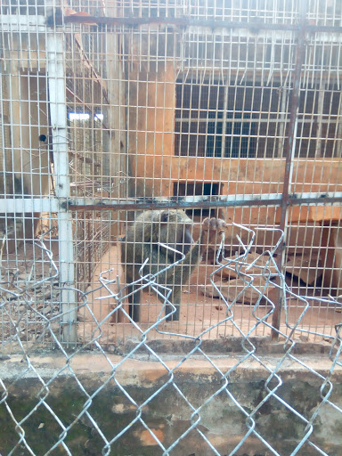 Zeerolexglamz, No 6 swimming pool road, Gamji St, Doki 800213, Kaduna, Nigeria, Day Care Center, state Kaduna