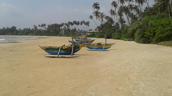 Dickwella Beach