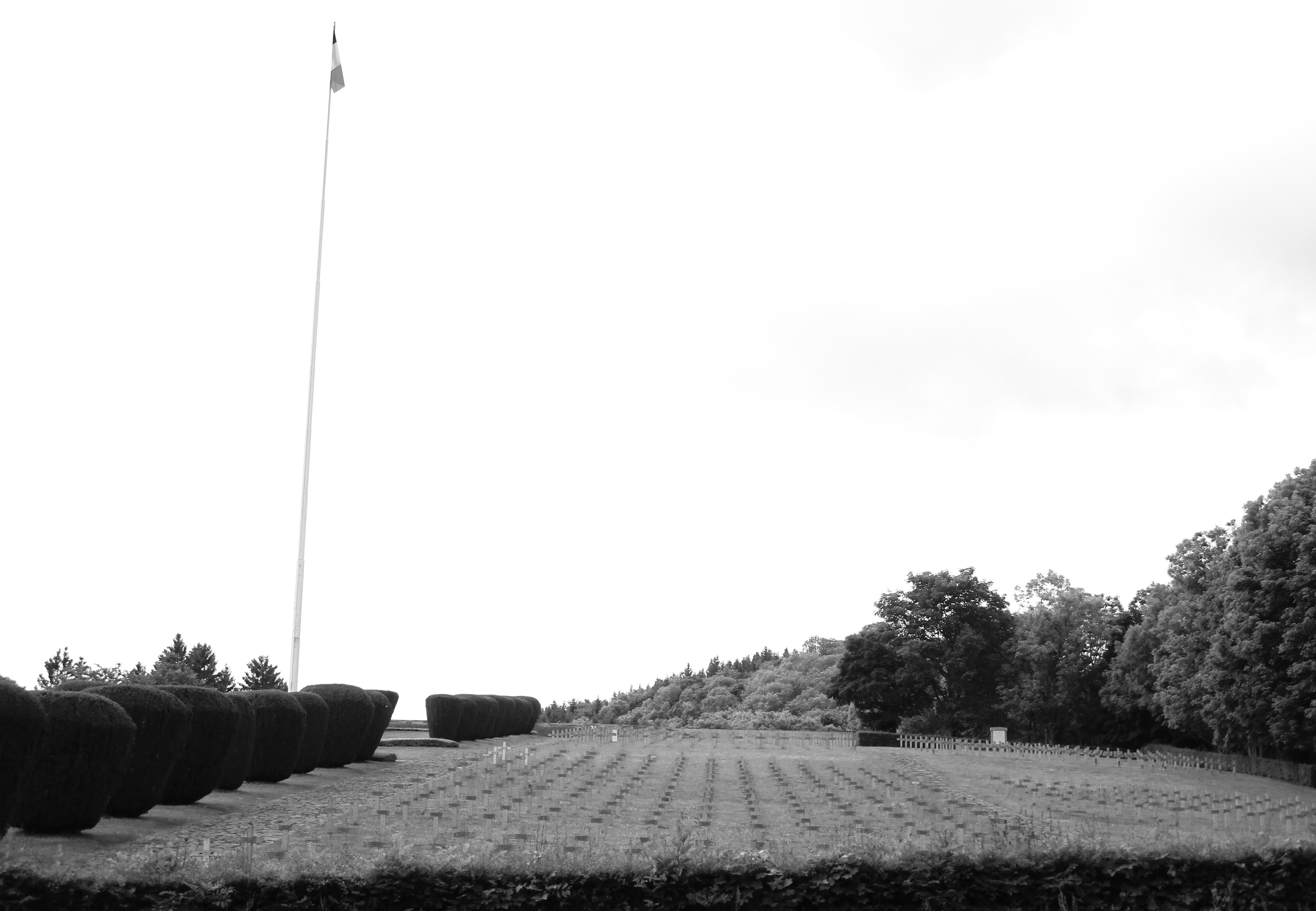 Photo n° 2 de l'avis de The.e fait le 15/10/2023 à 15:50