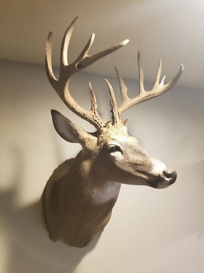 Nature's Touch Taxidermy