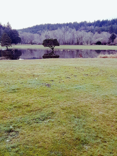 Golf Course «Willapa Harbor Golf Course & RV Park», reviews and photos, 2424 Fowler Rd, Raymond, WA 98577, USA